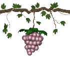 ENOTECA DELLE VITTORIE - Vini, Liquori, Champagne, Distillati, Tonno di Favignana.